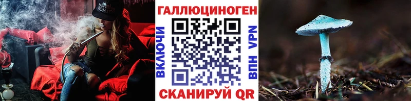Псилоцибиновые грибы Cubensis  Бежецк 